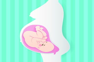 ������3����̥����ע�����