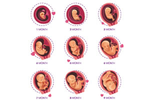 ����ë��쿴��Ů׼��