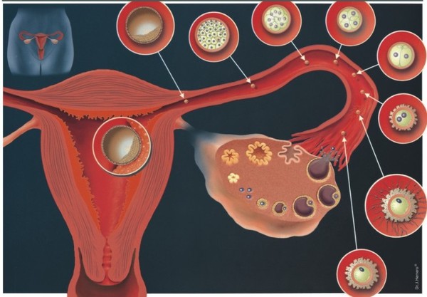 ������������������������̡�