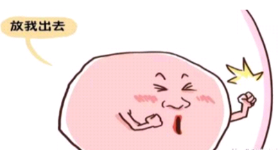 ����ʶ���ص�δ�������ݻ��ػ��ۺ�����