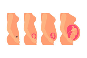 ��̥�̸ƻ��Ĵ�����