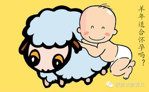 《羊年适合怀孕吗》