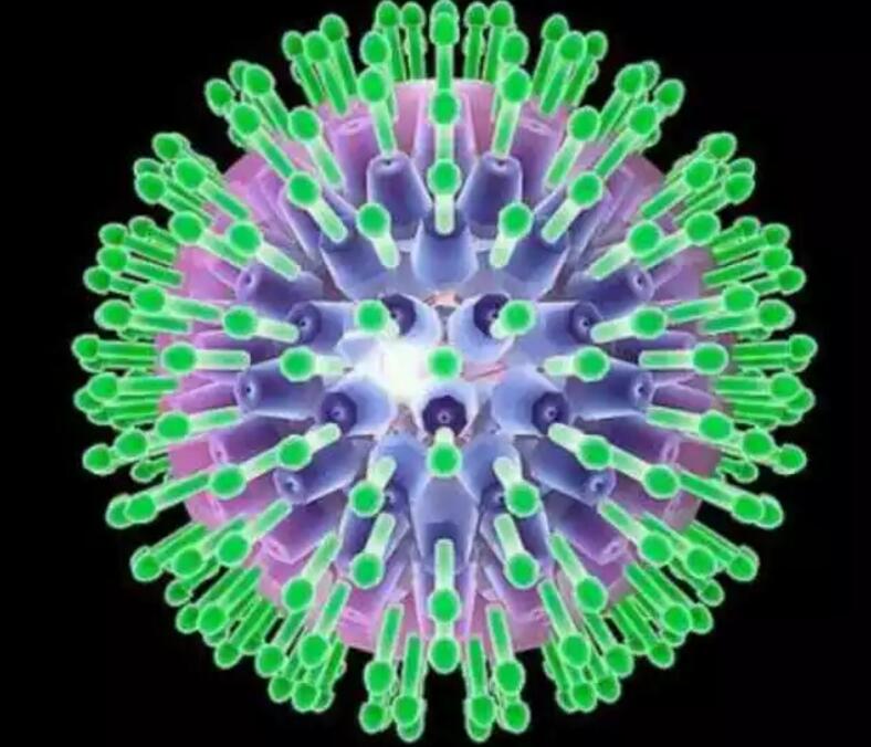 �����ڸ�Ⱦ��ϸ����������Ӱ�챦��������