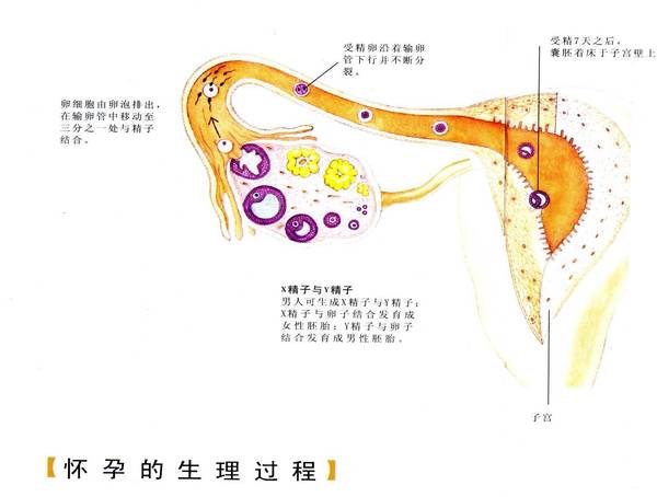 ���������б����������