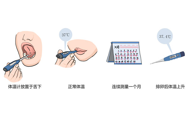 жųˡ